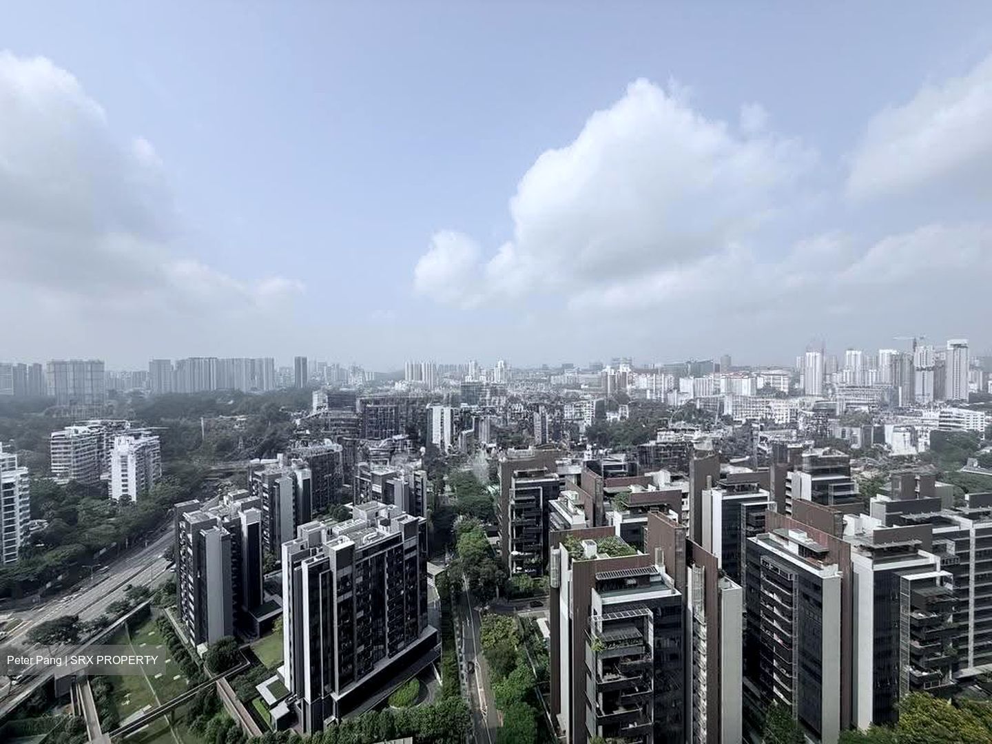 D'Leedon (D10), Condominium #613337611